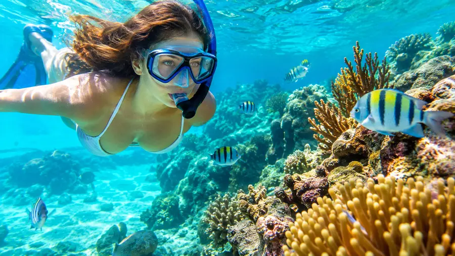 Punta Nizuc Snorkel & Coral Reef Tours