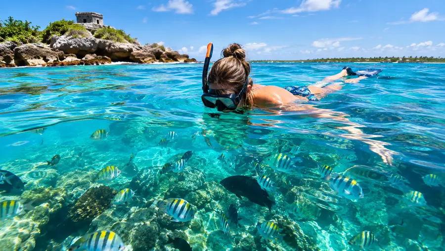 Punta Nizuc Snorkel & Coral Reef Tours